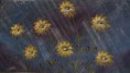 /album/fotogaleria-flores/margaritas-amarillas-jpg/